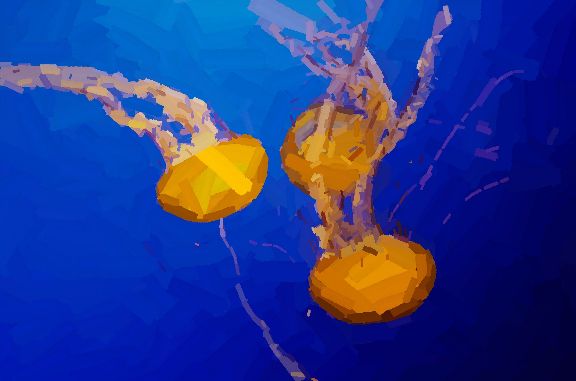 jellyfish it 0099
